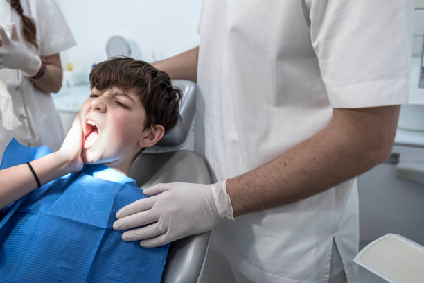 Best Emergency Dental Care for Broken or Chipped Teeth in Algoma, WI