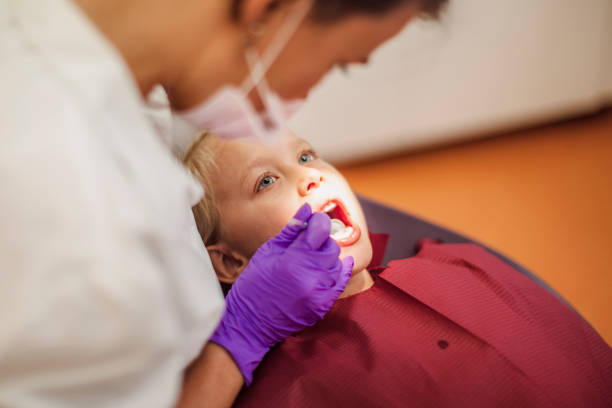 Best Emergency Dental Care for Broken or Chipped Teeth in Algoma, WI
