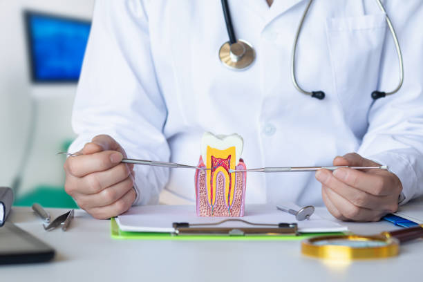 Best Emergency Tooth Extraction in Algoma, WI