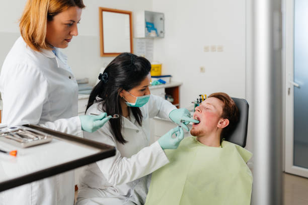 Best Emergency Dental Care for Broken or Chipped Teeth in Algoma, WI